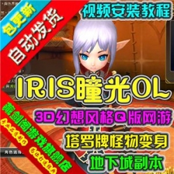 IRIS瞳光单机版3D幻想风格Q版萌网络游戏GM刷元宝金钱等级